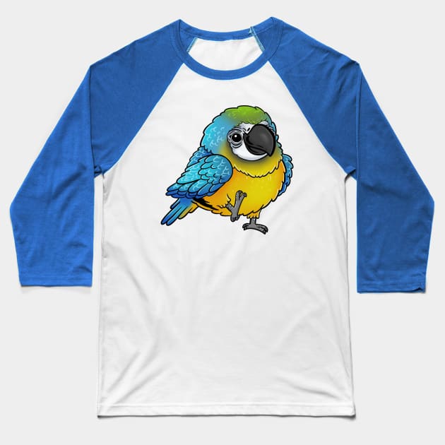 Cute Walking Blue and Yellow Macaw - Parrot Bird Birb - Chibi Kawaii Anime Baseball T-Shirt by Holymayo Tee